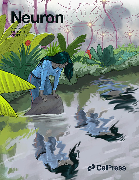 Journal Cover