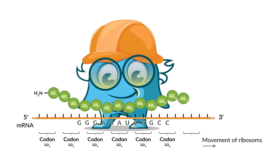 Click to search 7000+ recombinant proteins