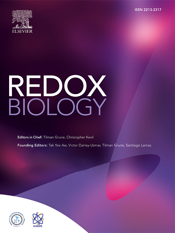 Journal Cover