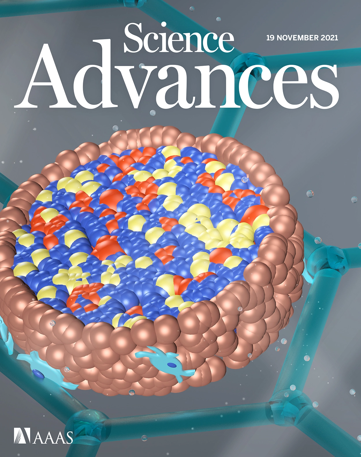 Journal Cover