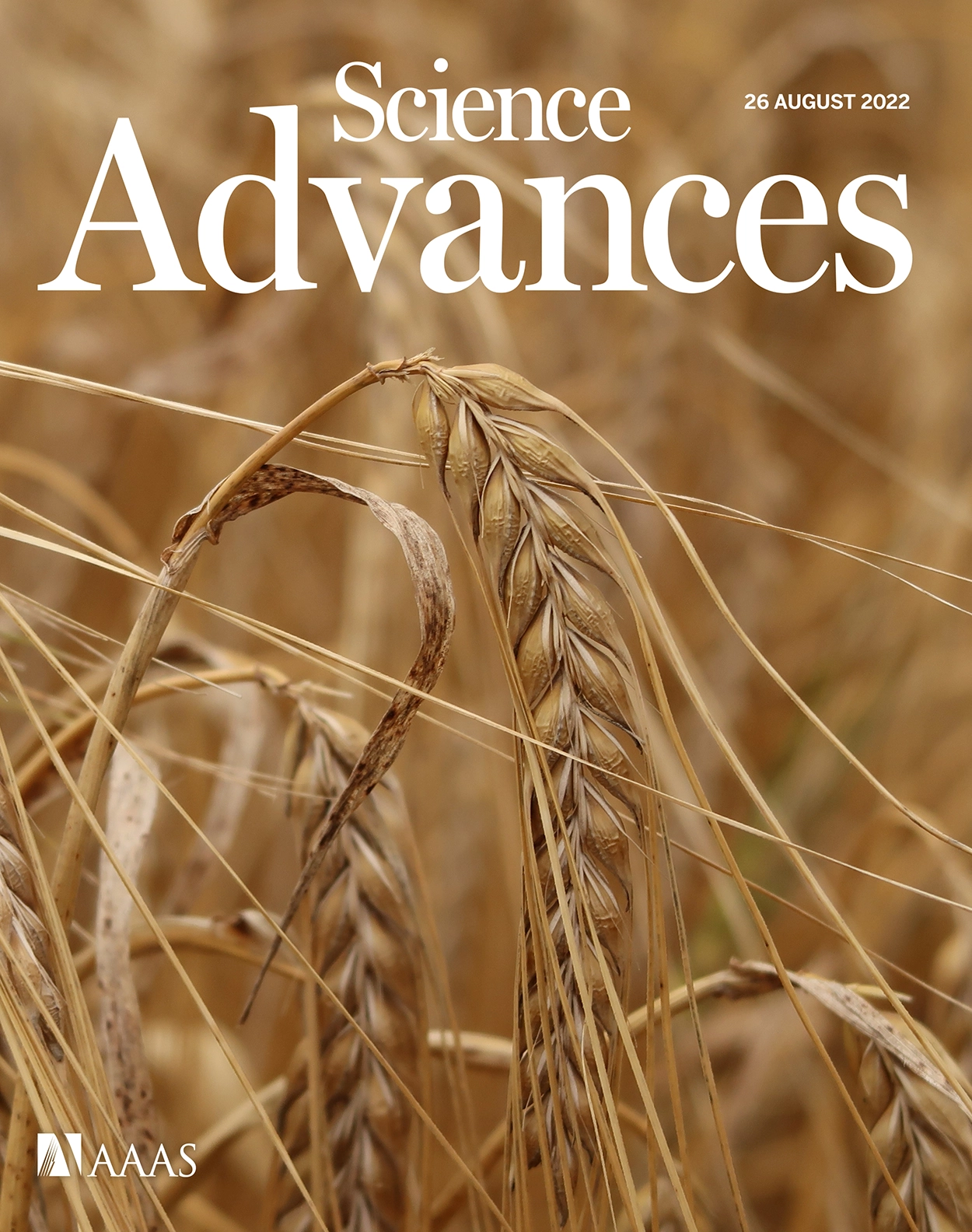 Journal Cover