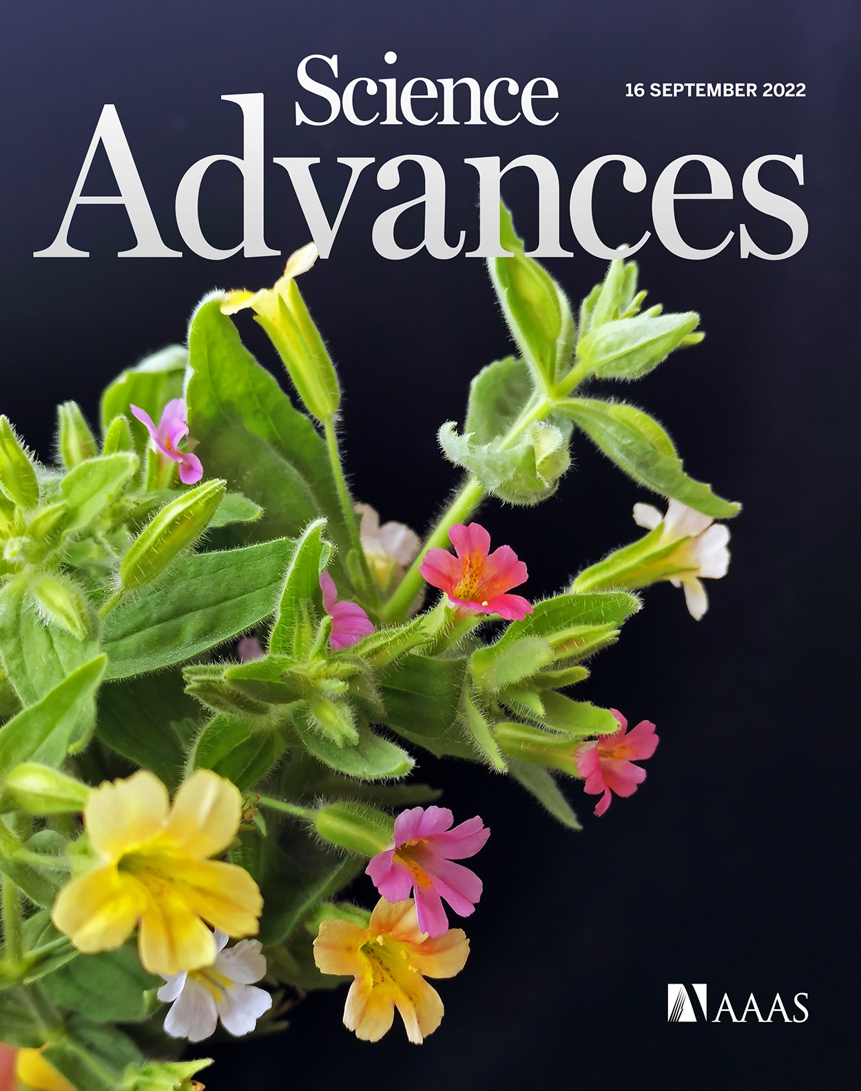 Journal Cover