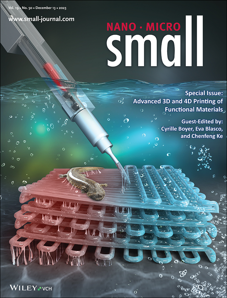Journal Cover