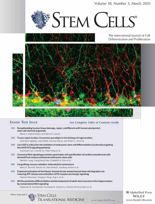 Stem Cells Journal Cover