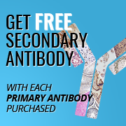 Buy Primary Antibody Get Secondary FREE