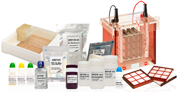 Save over 50% on IHC, WB, PCR reagents & kits. Click to compare prices.