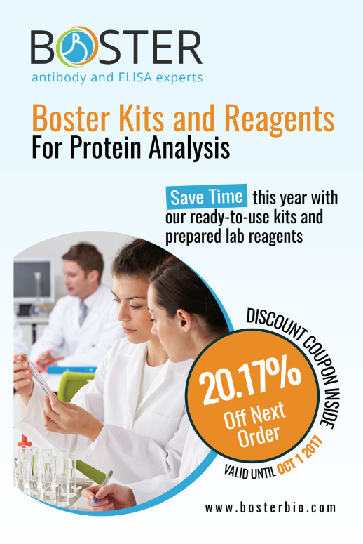 Western Blot Reagents Brochure