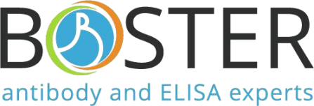 Boster Bio